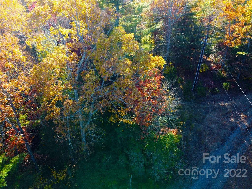 000 Emma Bri Lane #F1