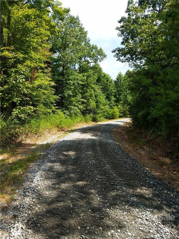 000 Emma Bri Lane #F1 - Photo 3