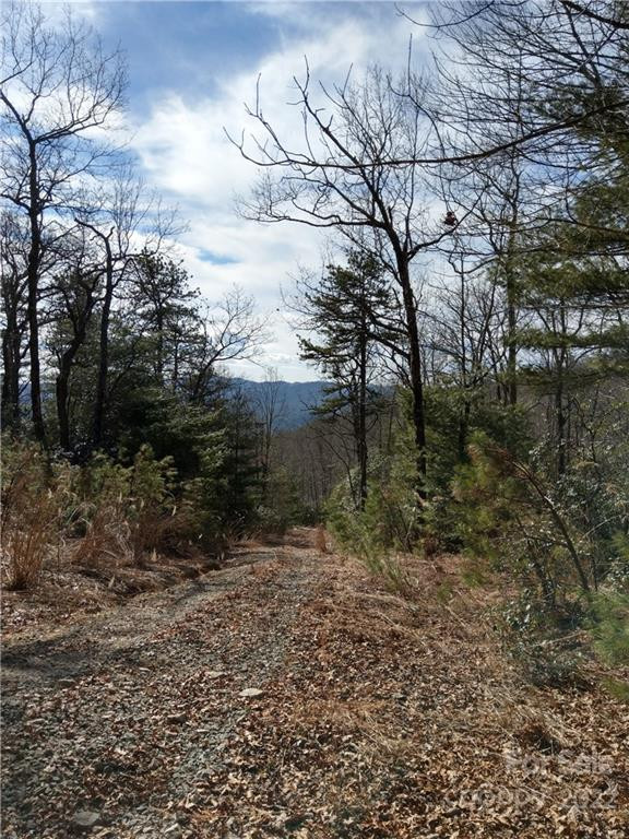 000 Emma Bri Lane #F1 - Photo 4