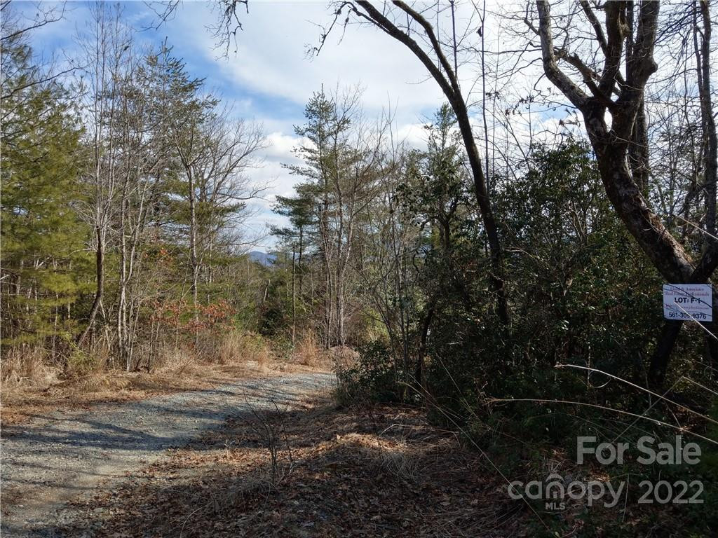 000 Emma Bri Lane #F1 - Photo 5