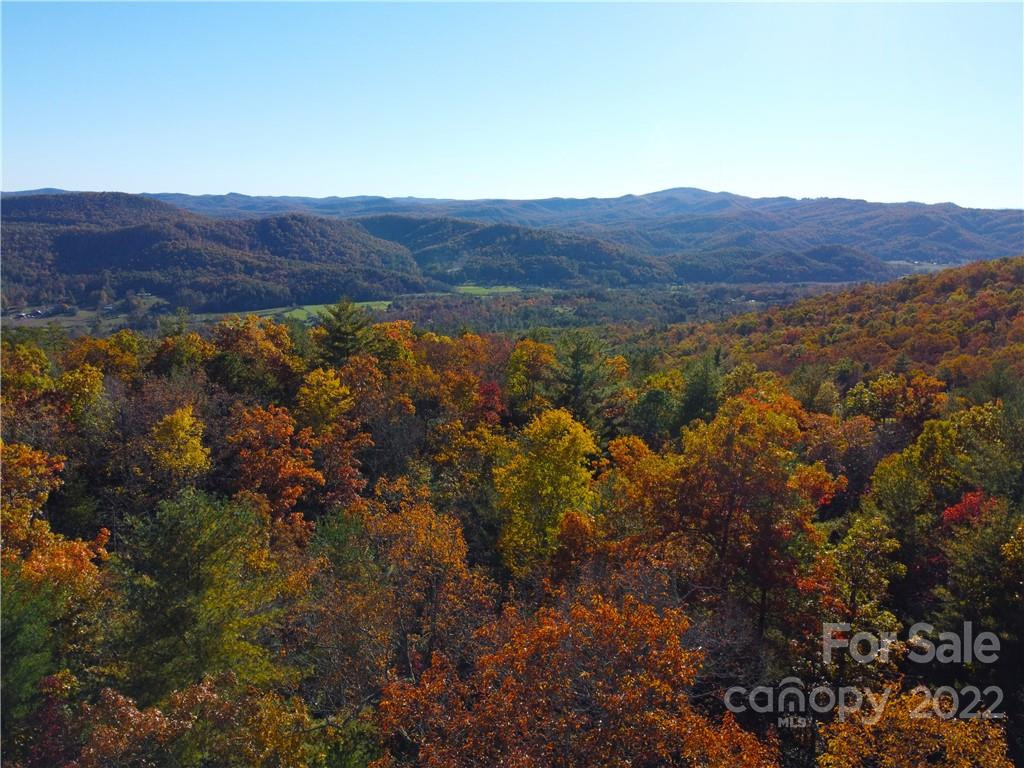 000 Emma Bri Lane #F9 - Photo 2