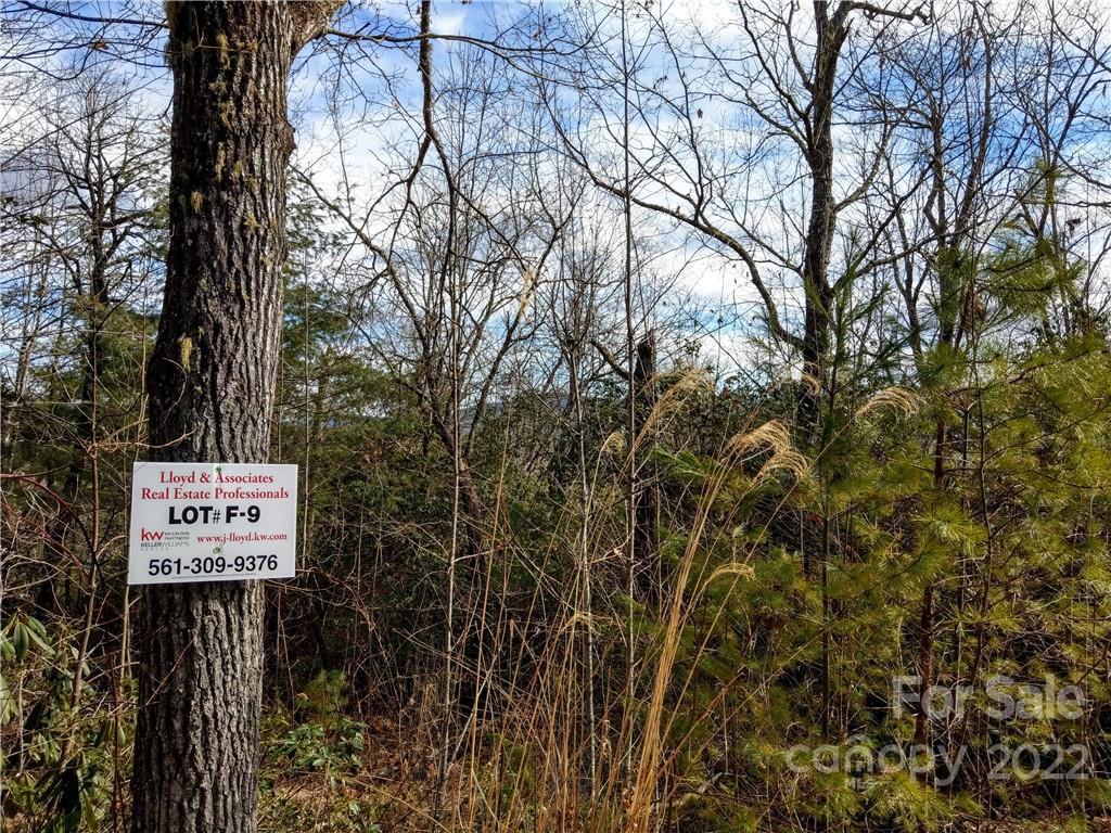 000 Emma Bri Lane #F9 - Photo 3