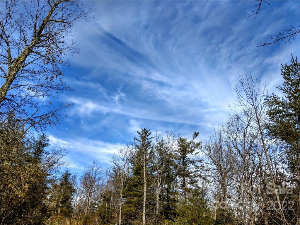 000 Emma Bri Lane #F9 - Photo 4