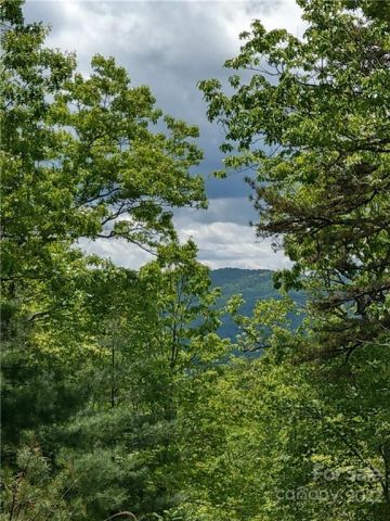 000 Dogwood Lane, Penrose, NC, 28766