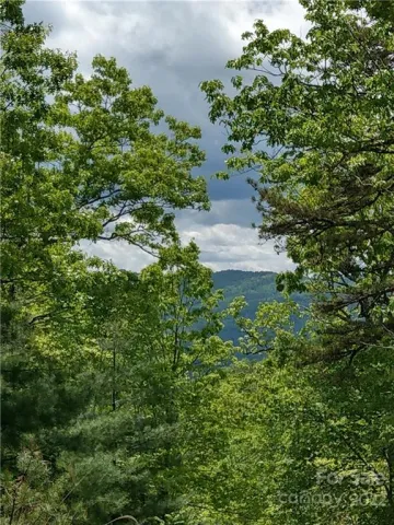 000 Dogwood Lane, Penrose, NC, 28766