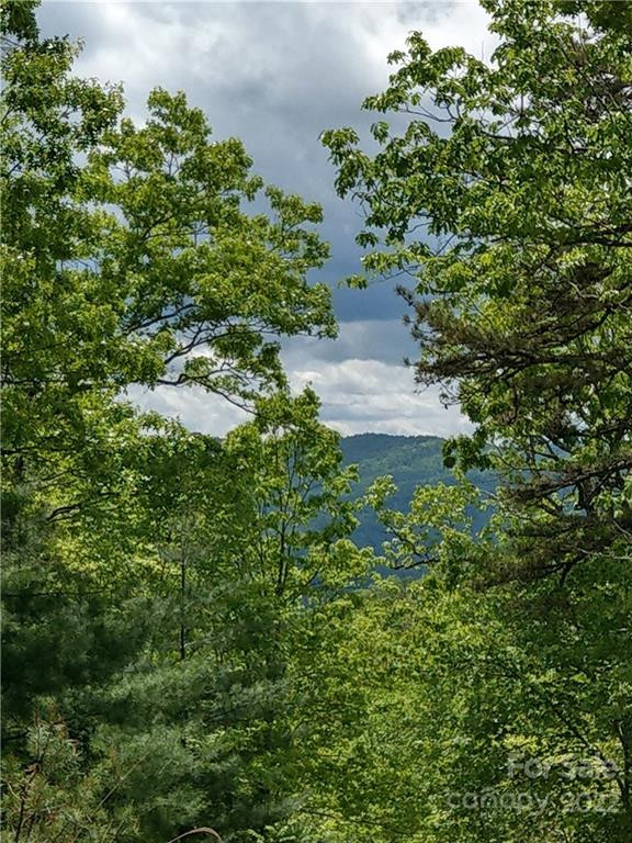 000 Dogwood Lane #E1