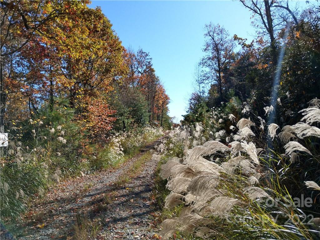 000 Dogwood Lane #E1 - Photo 3