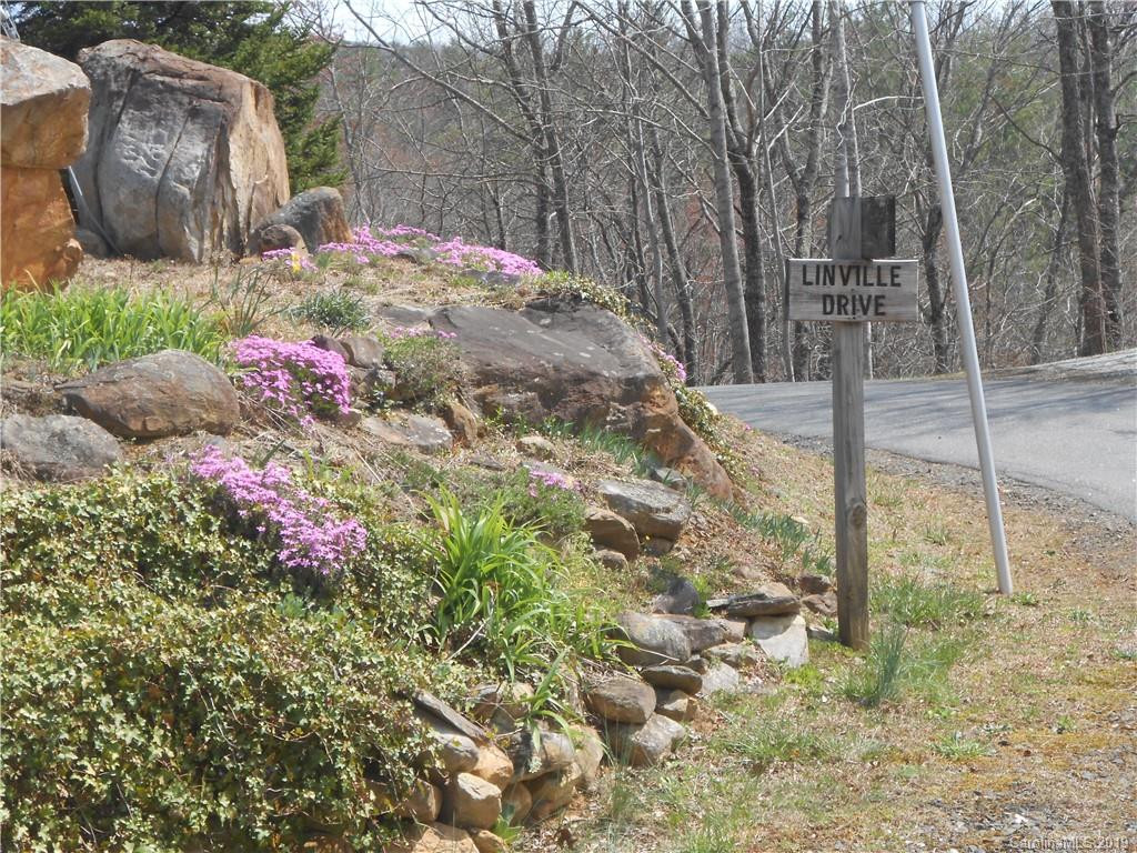 Lot 27 Linville Drive - Photo 7