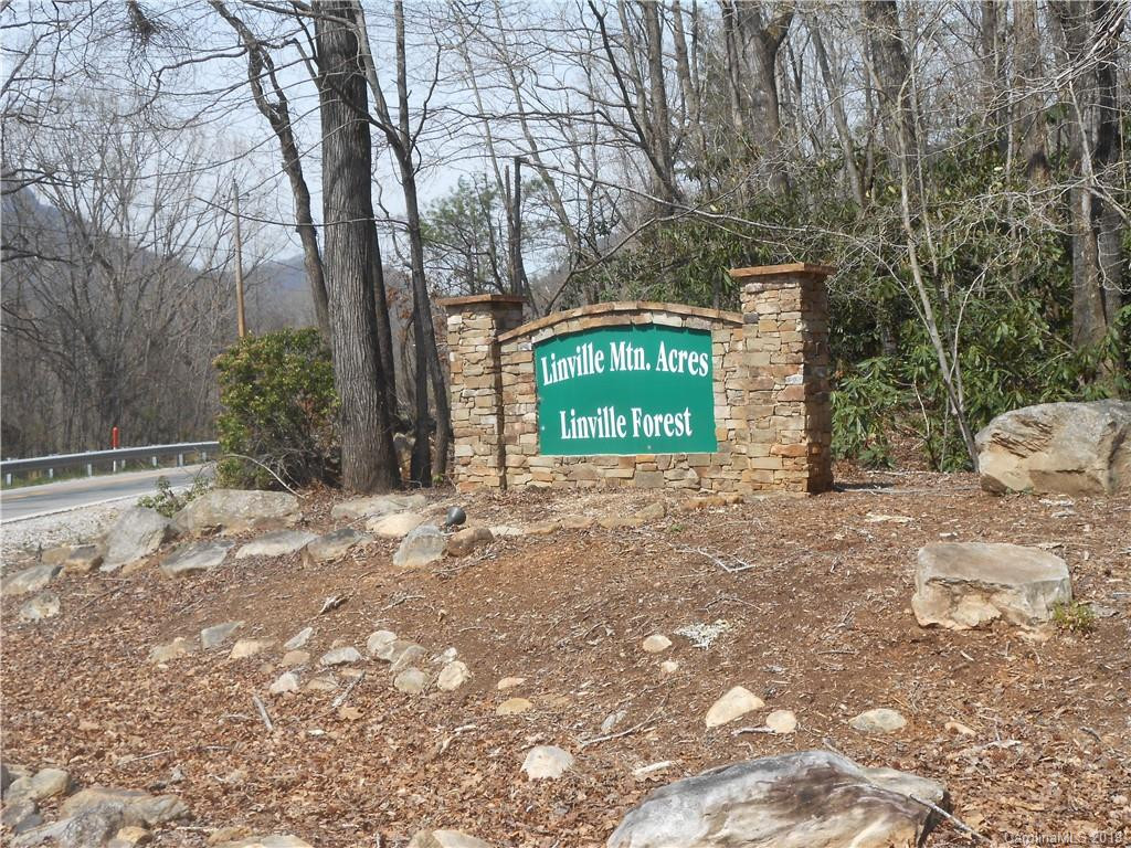 Lot 27 Linville Drive - Photo 9