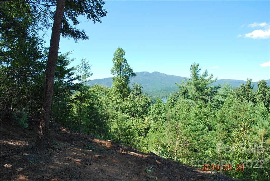 675 Harborside Drive #238 & 238A - Photo 2