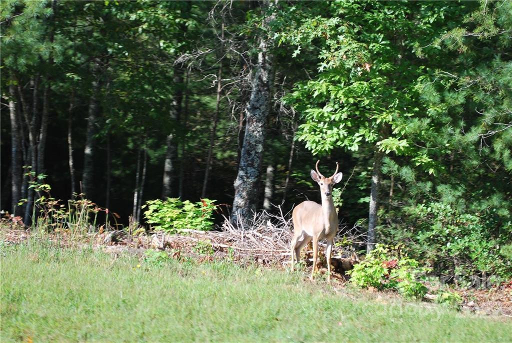 675 Harborside Drive #238 & 238A - Photo 16