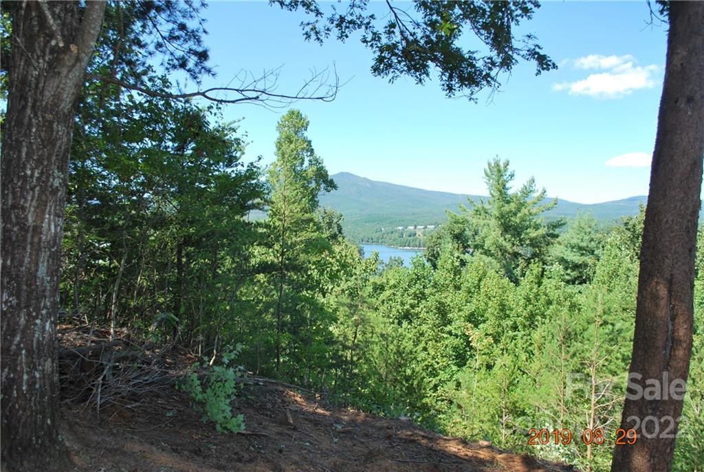 675 Harborside Drive #238 & 238A - Photo 4