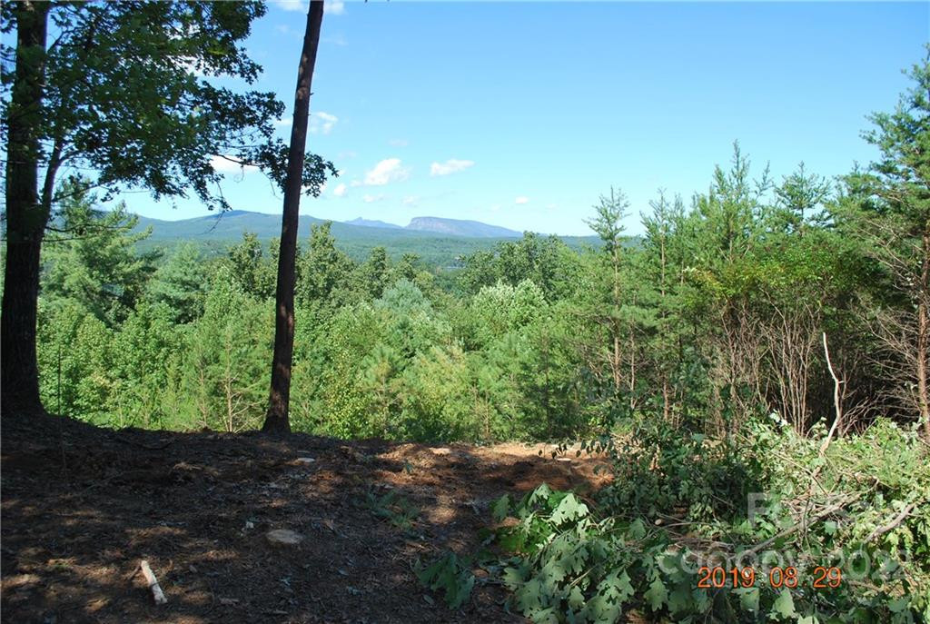 675 Harborside Drive #238 & 238A - Photo 5