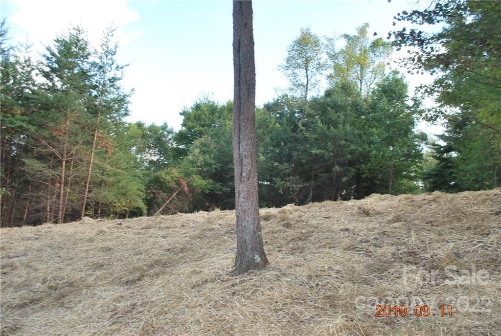 675 Harborside Drive #238 & 238A - Photo 10