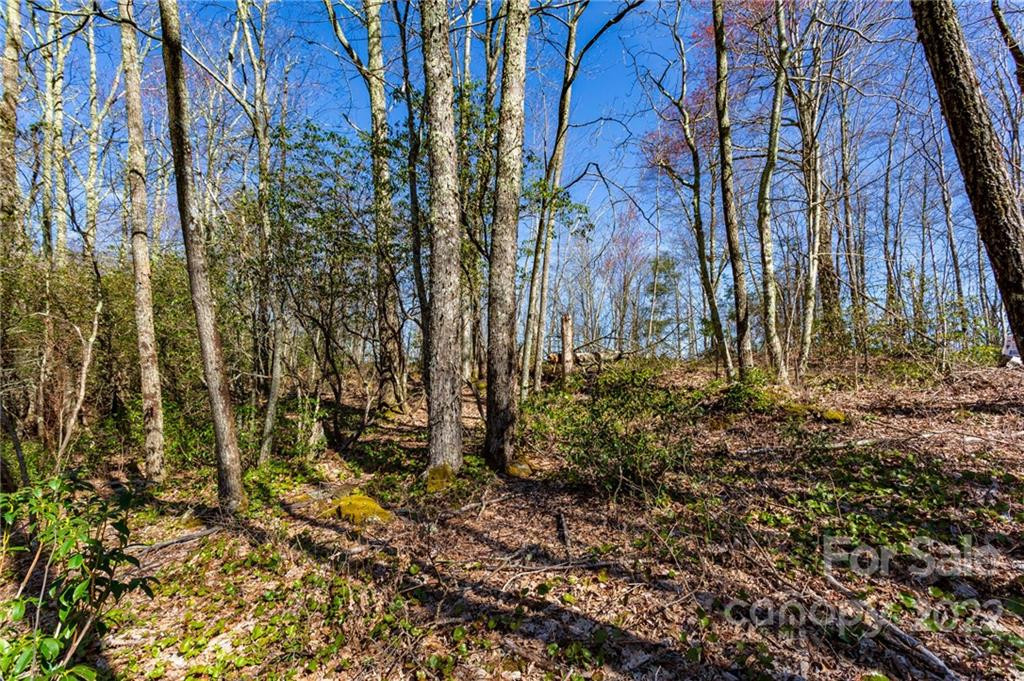 Lot 81 Shangri Lane #81 - Photo 11