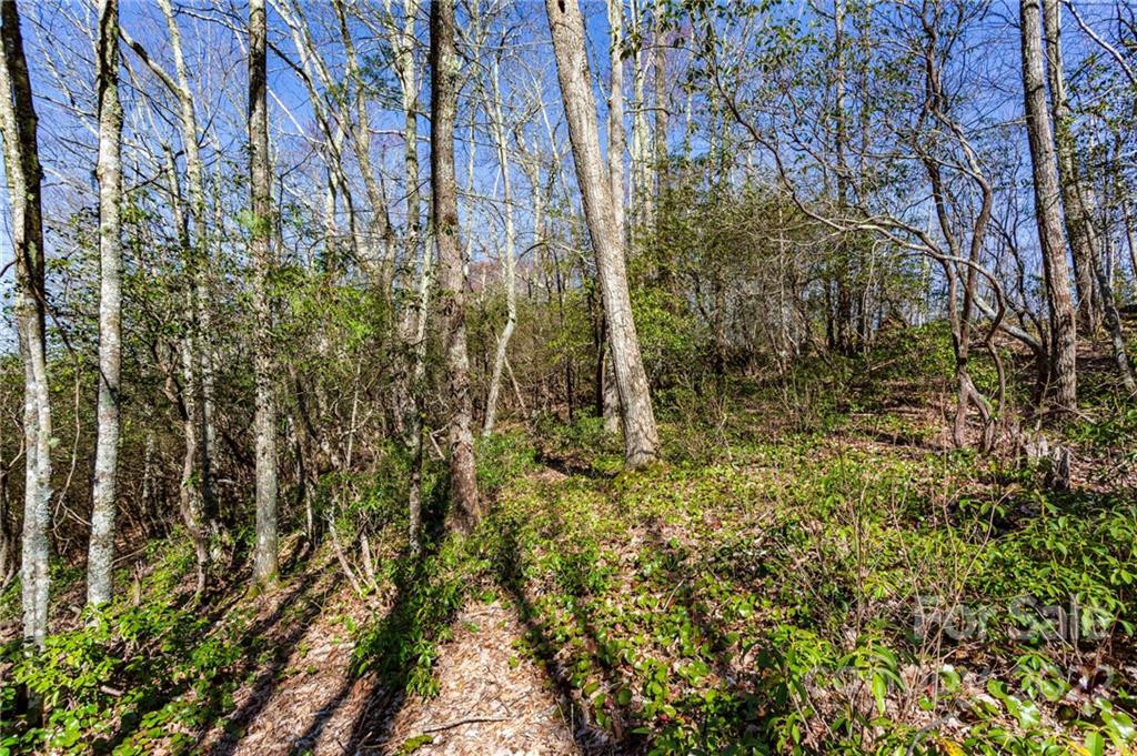 Lot 81 Shangri Lane #81 - Photo 13