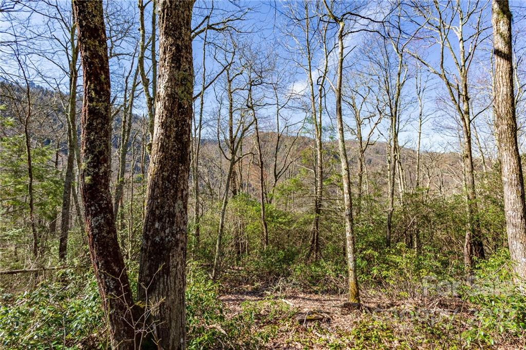 Lot 81 Shangri Lane #81 - Photo 14