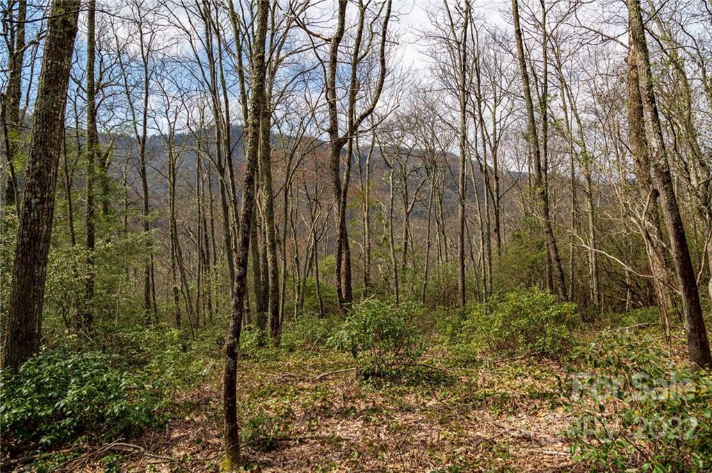 Lot 81 Shangri Lane #81 - Photo 21