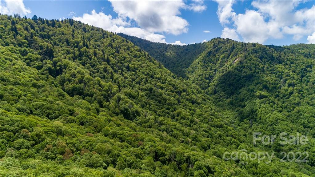 Lot 81 Shangri Lane #81 - Photo 22