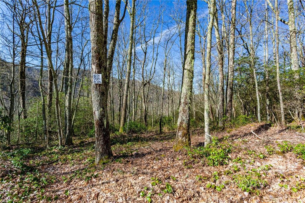 Lot 81 Shangri Lane #81 - Photo 7