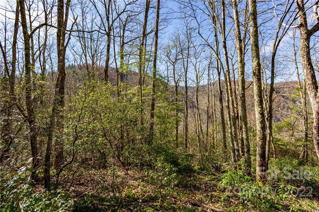 Lot 81 Shangri Lane #81 - Photo 10