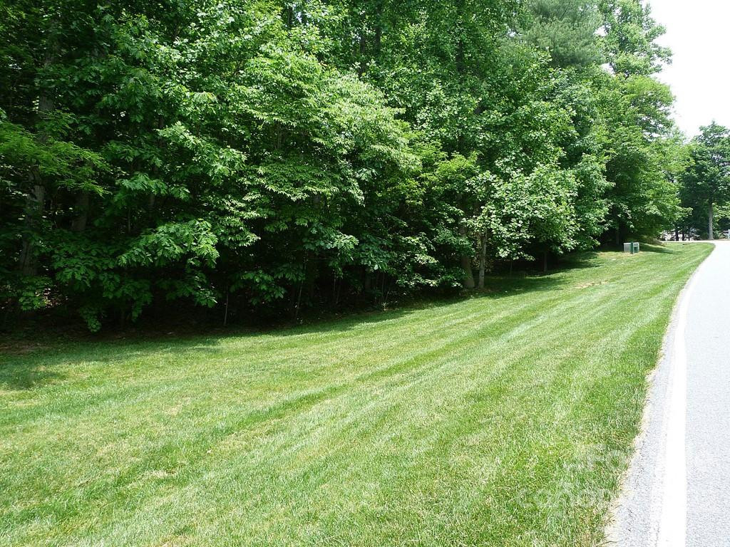 201 BENT PINE Trace #180