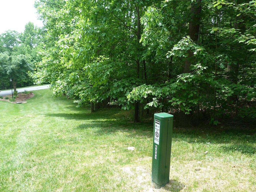 201 BENT PINE Trace #180 - Photo 2