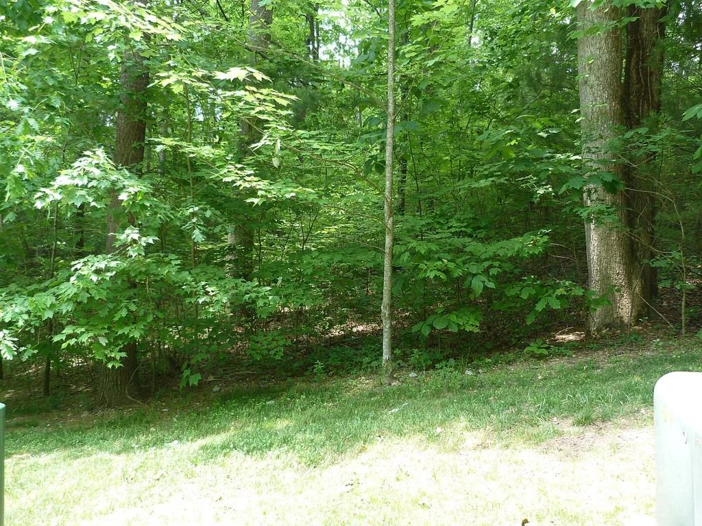201 BENT PINE Trace #180 - Photo 3
