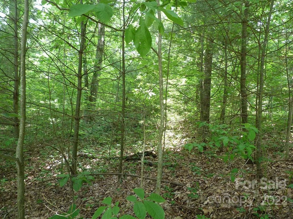 201 BENT PINE Trace #180 - Photo 5