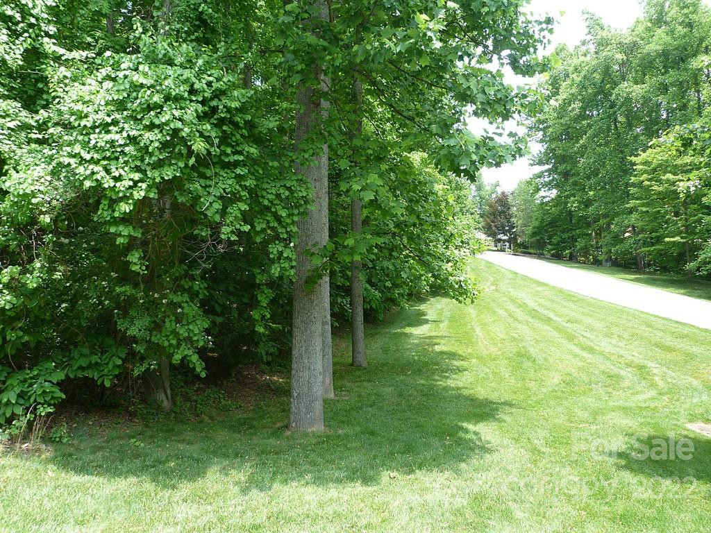 201 BENT PINE Trace #180 - Photo 6