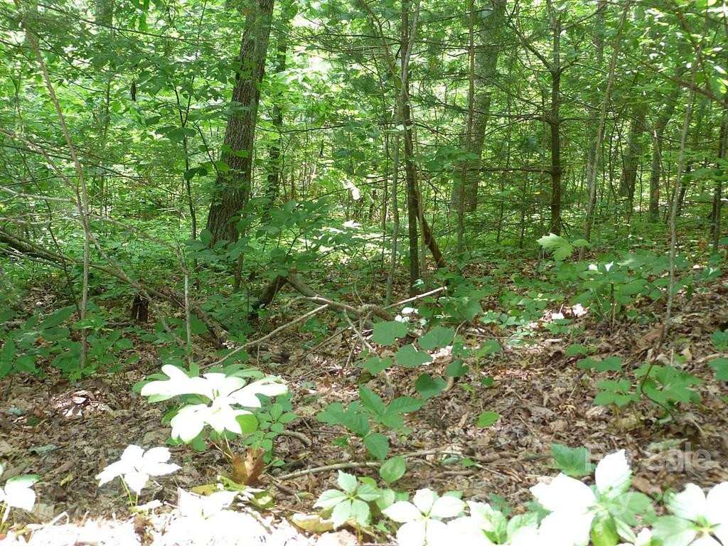 201 BENT PINE Trace #180 - Photo 7