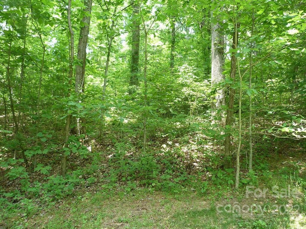 201 BENT PINE Trace #180 - Photo 8