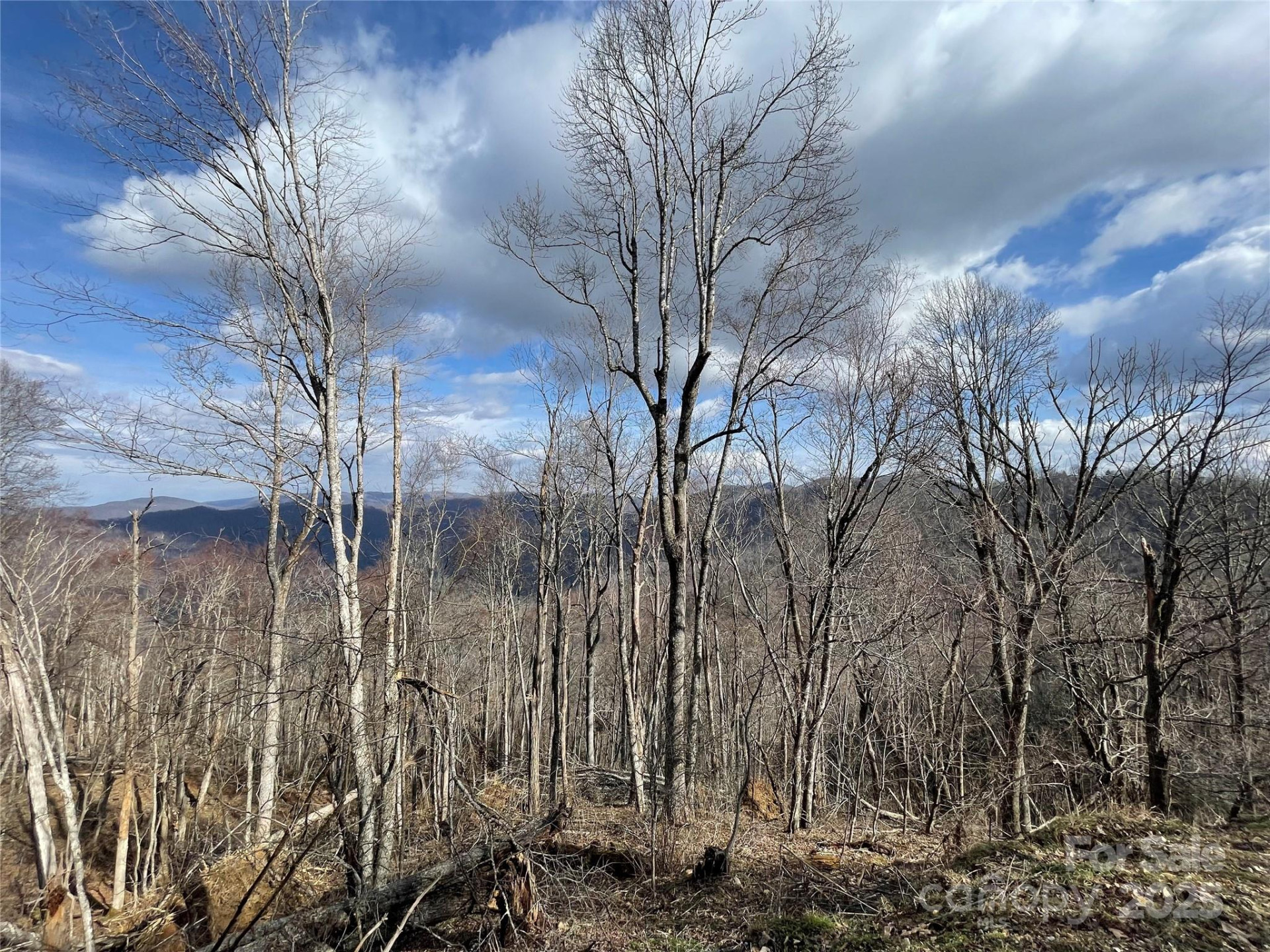 Lot #39 Ridge Top Circle - Photo 2