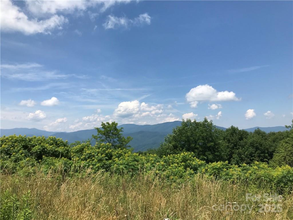 Lot #39 Ridge Top Circle - Photo 11