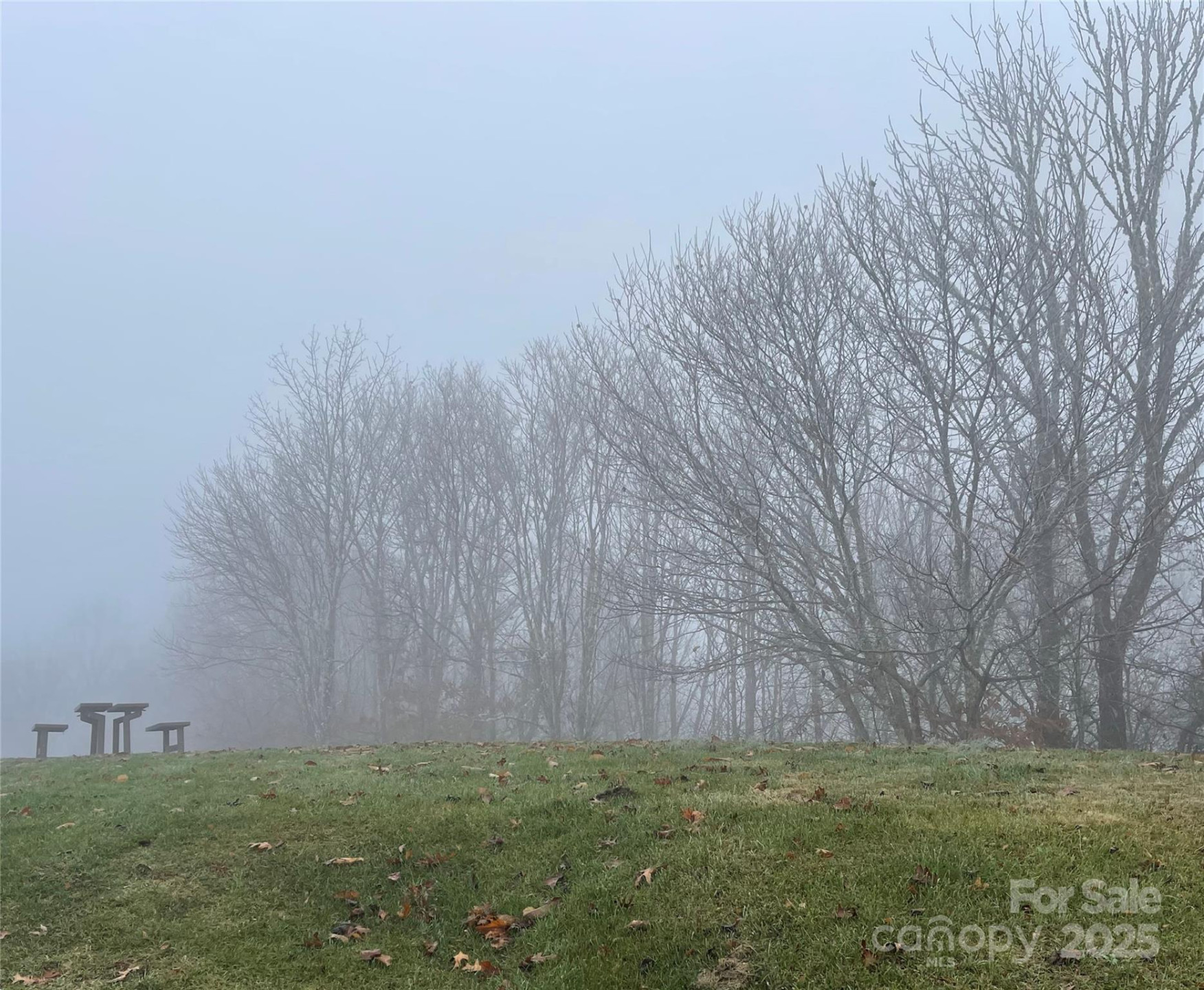 Lot #39 Ridge Top Circle - Photo 15