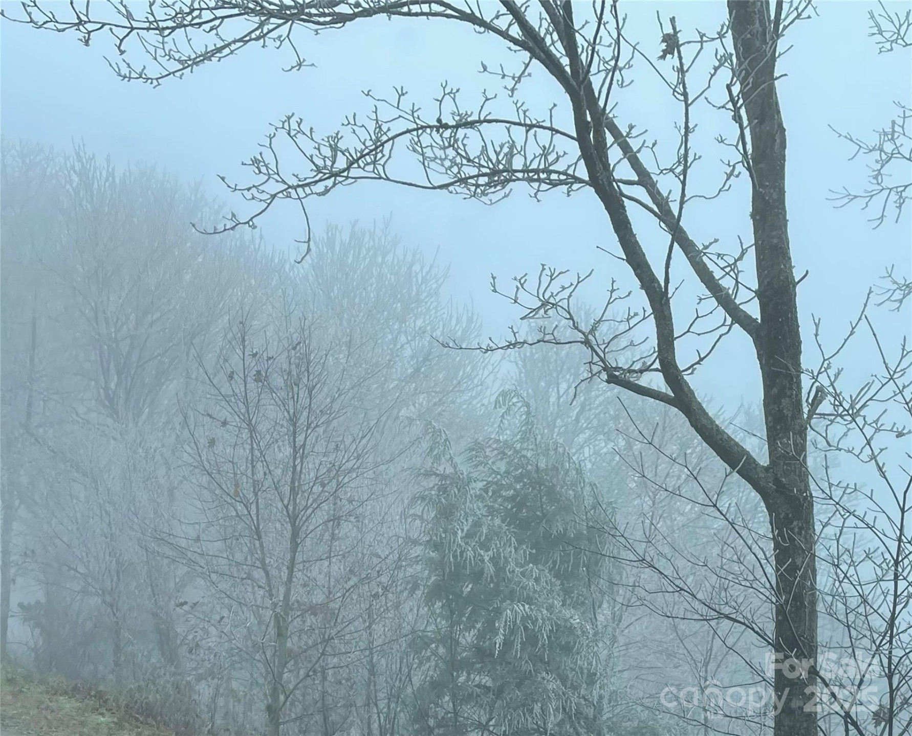 Lot #39 Ridge Top Circle - Photo 16