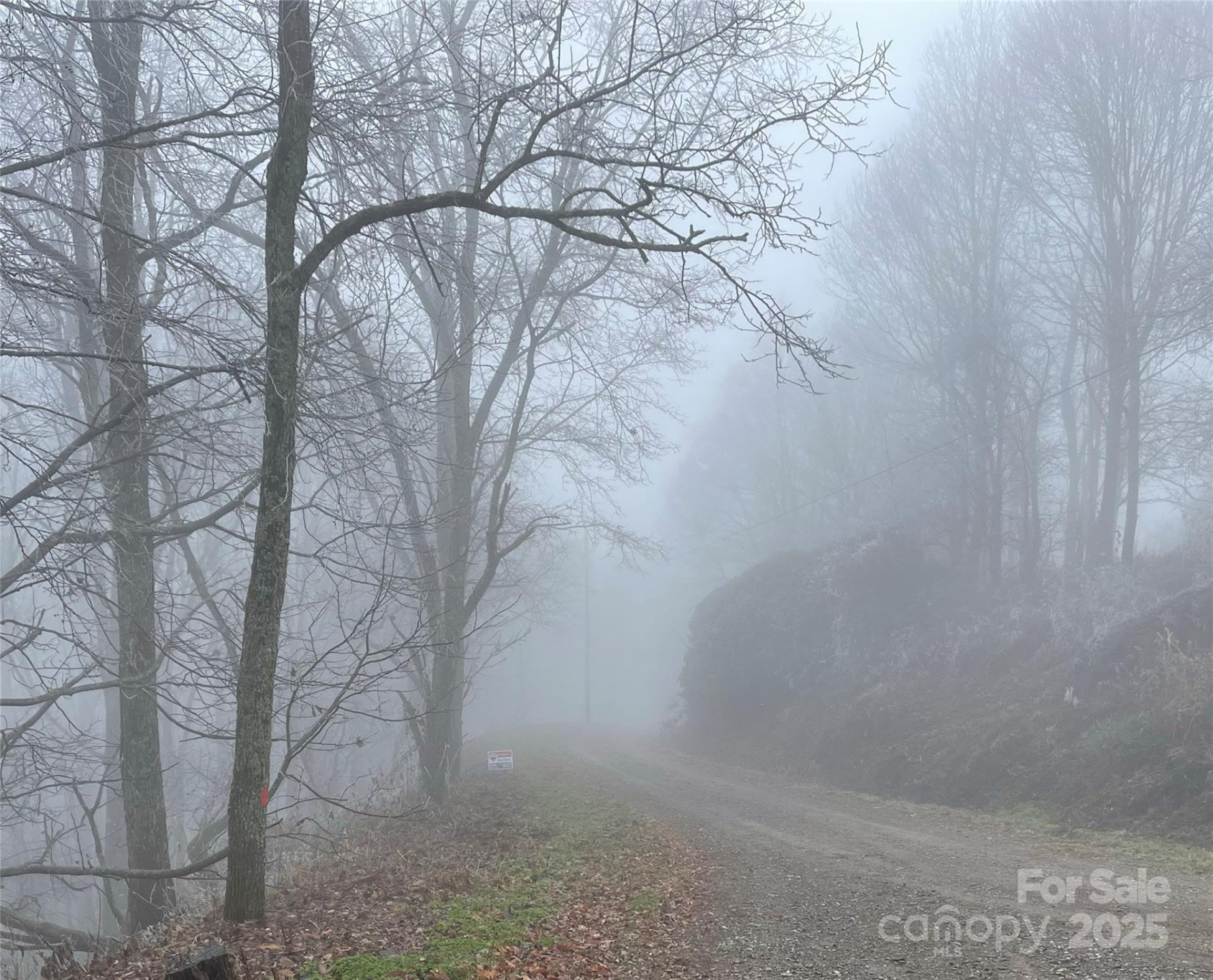 Lot #39 Ridge Top Circle - Photo 18