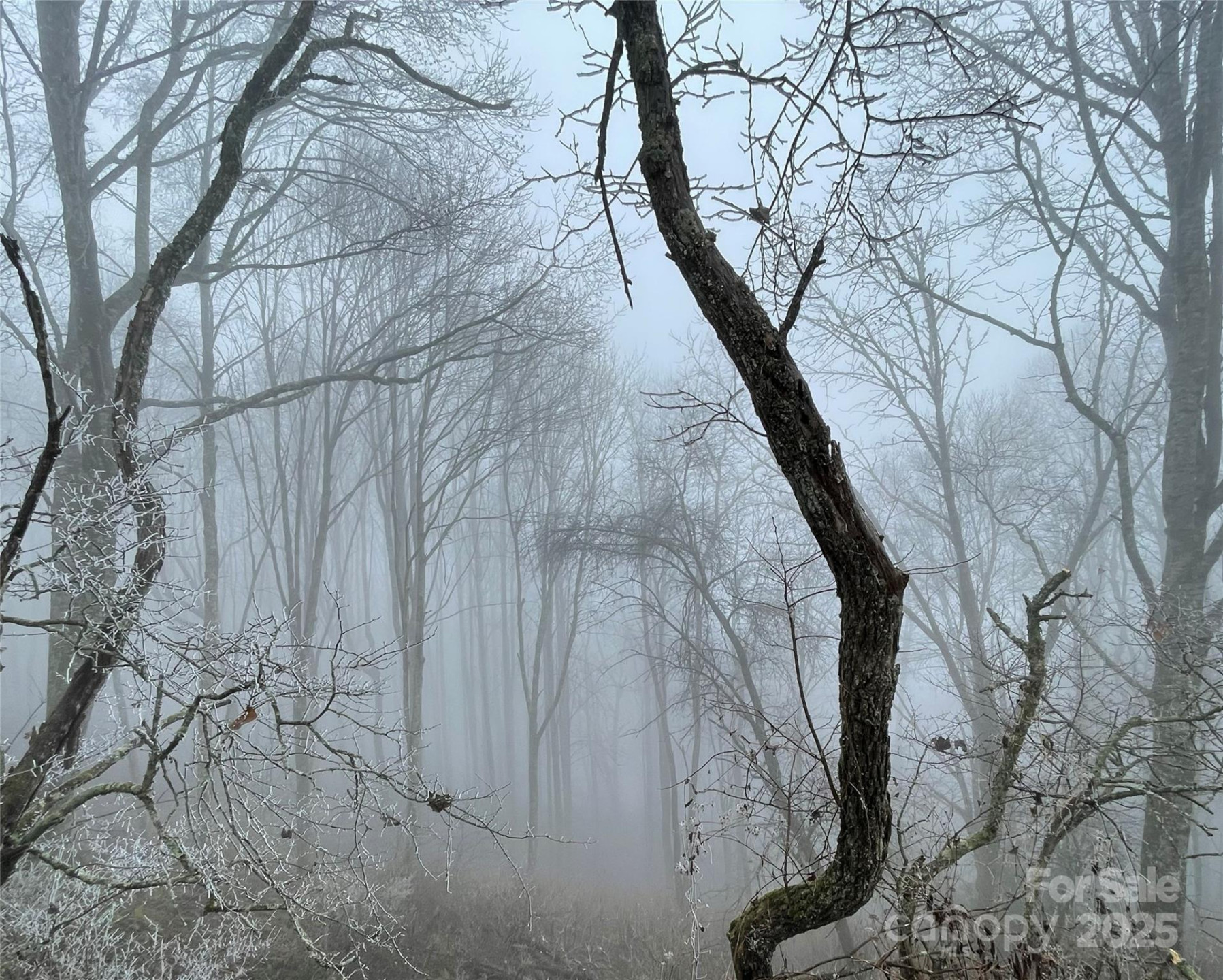 Lot #39 Ridge Top Circle - Photo 19