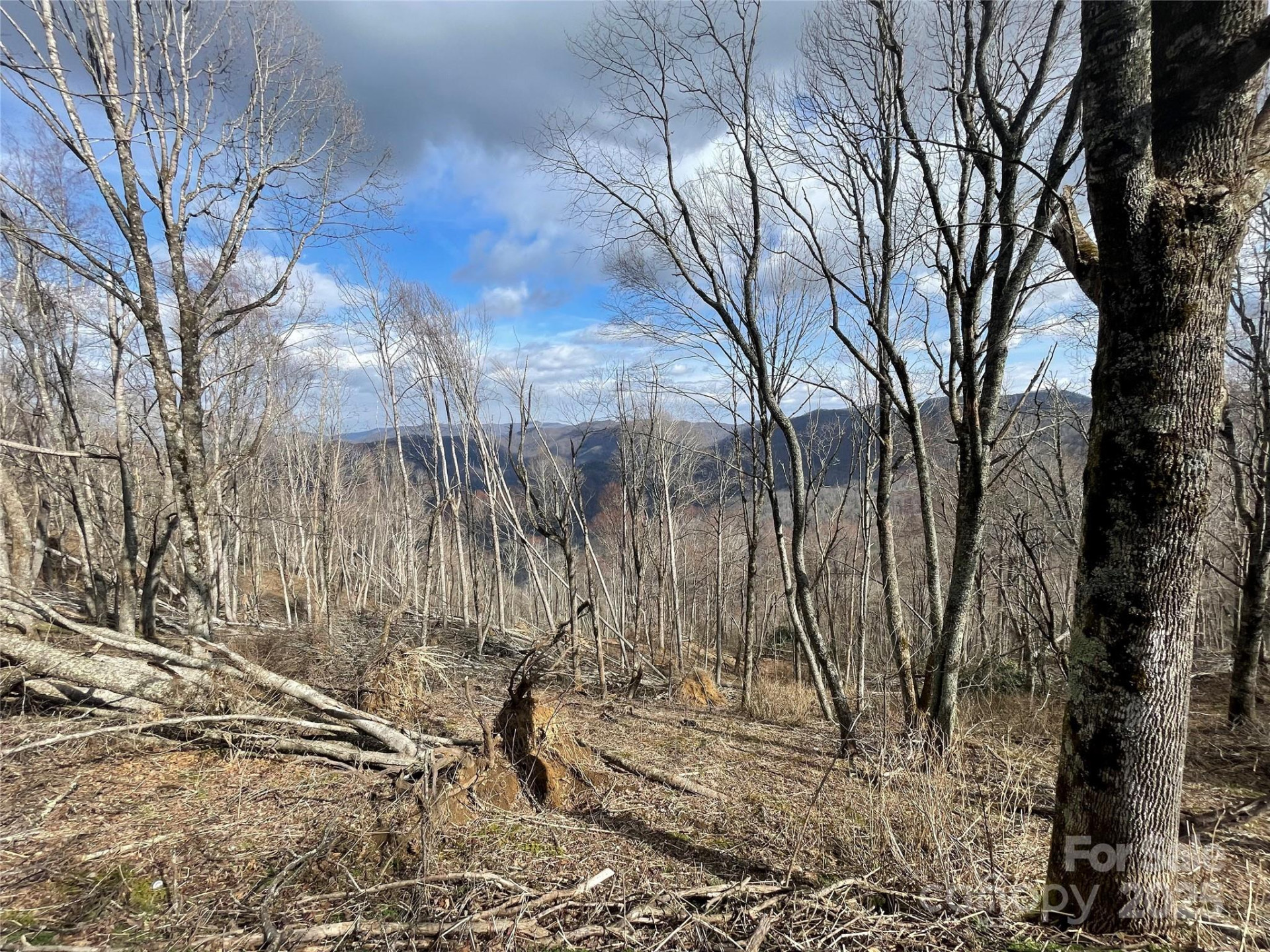 Lot #39 Ridge Top Circle - Photo 3