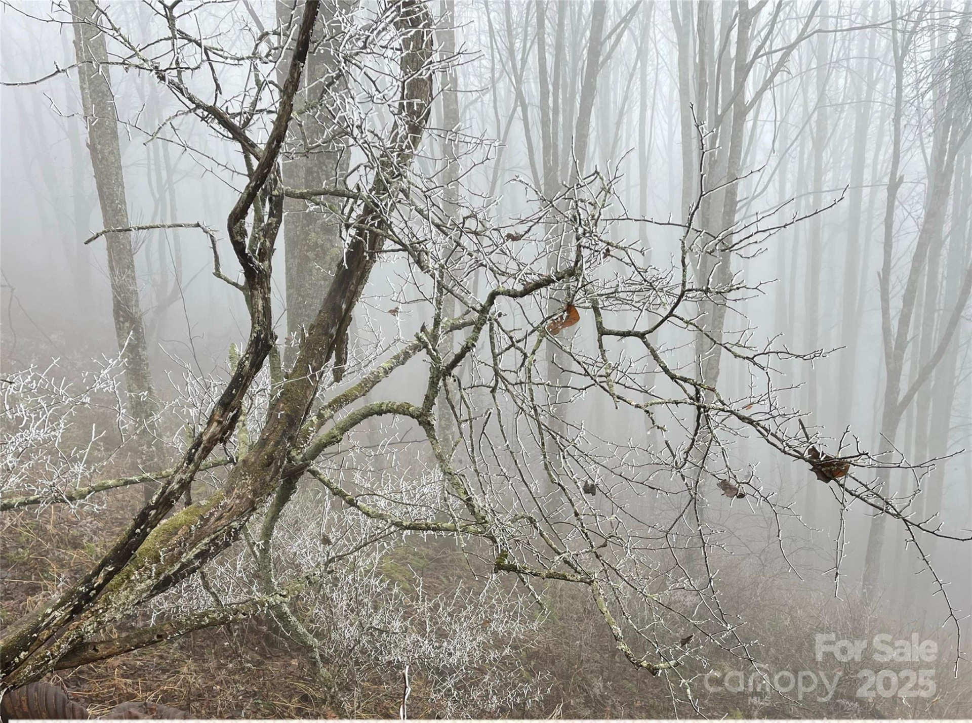 Lot #39 Ridge Top Circle - Photo 21