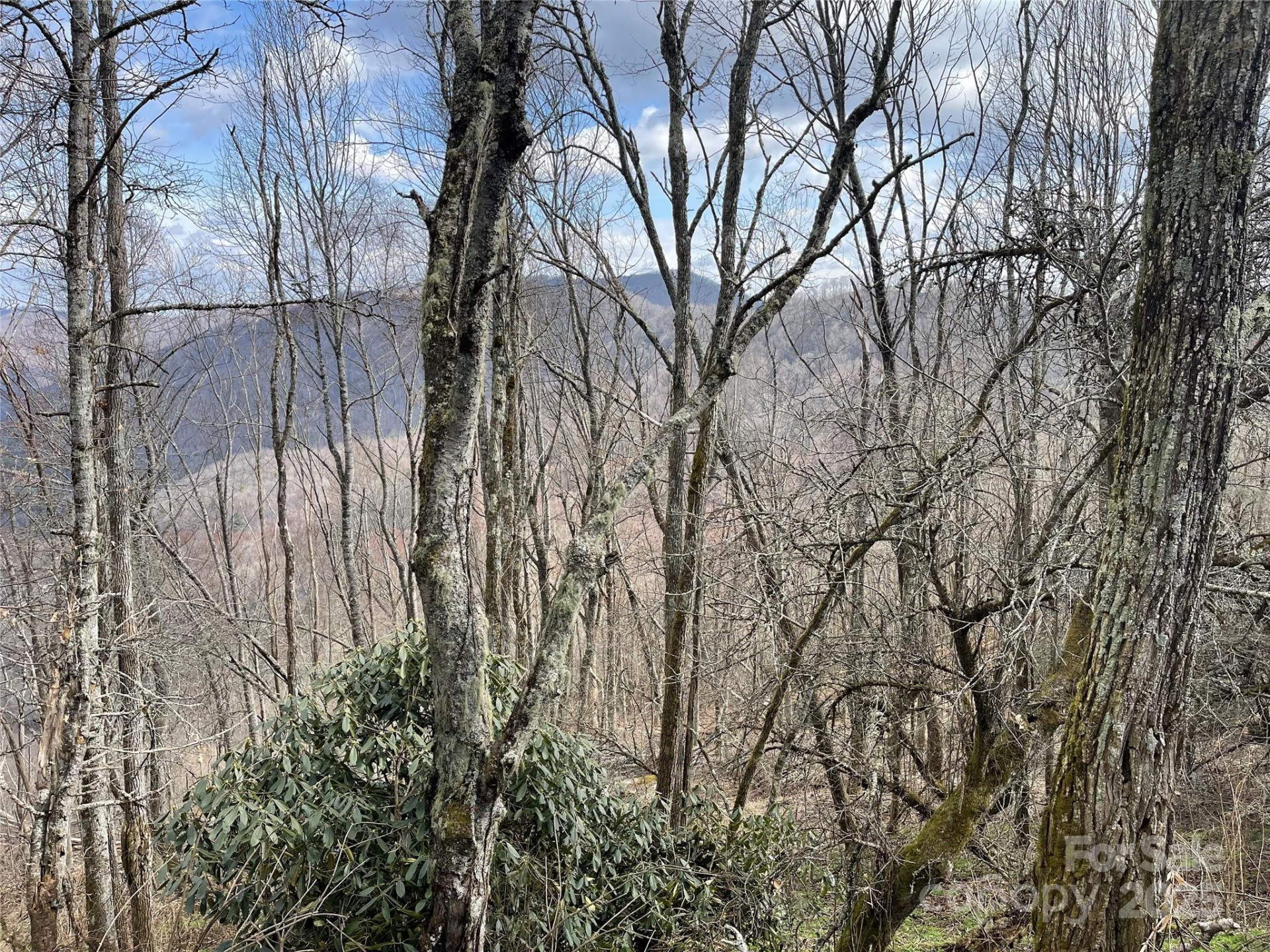 Lot #39 Ridge Top Circle - Photo 23