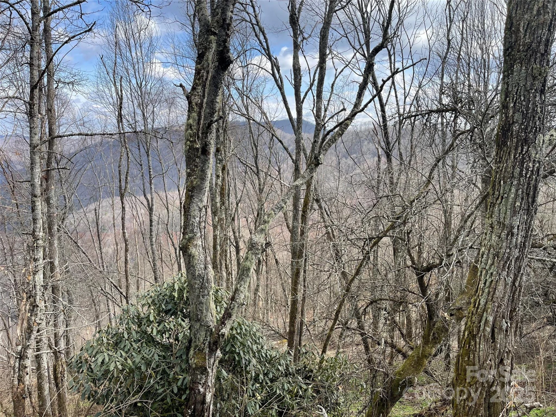 Lot #39 Ridge Top Circle - Photo 23