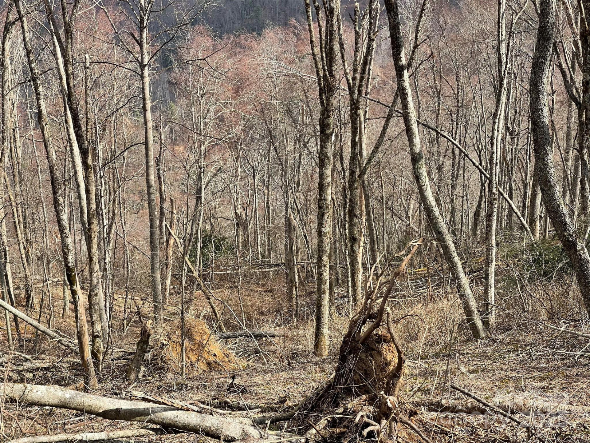 Lot #39 Ridge Top Circle - Photo 24