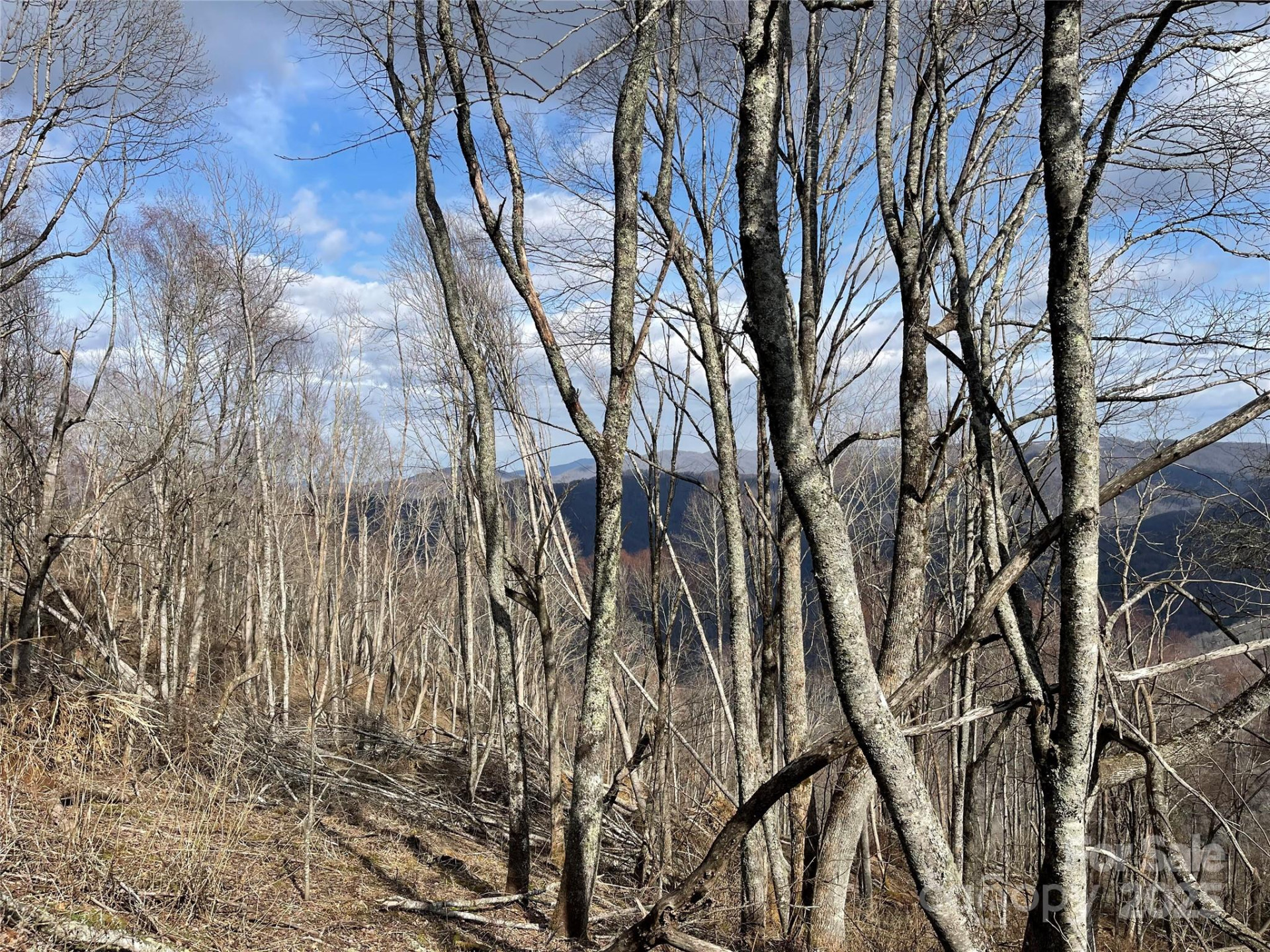 Lot #39 Ridge Top Circle - Photo 25