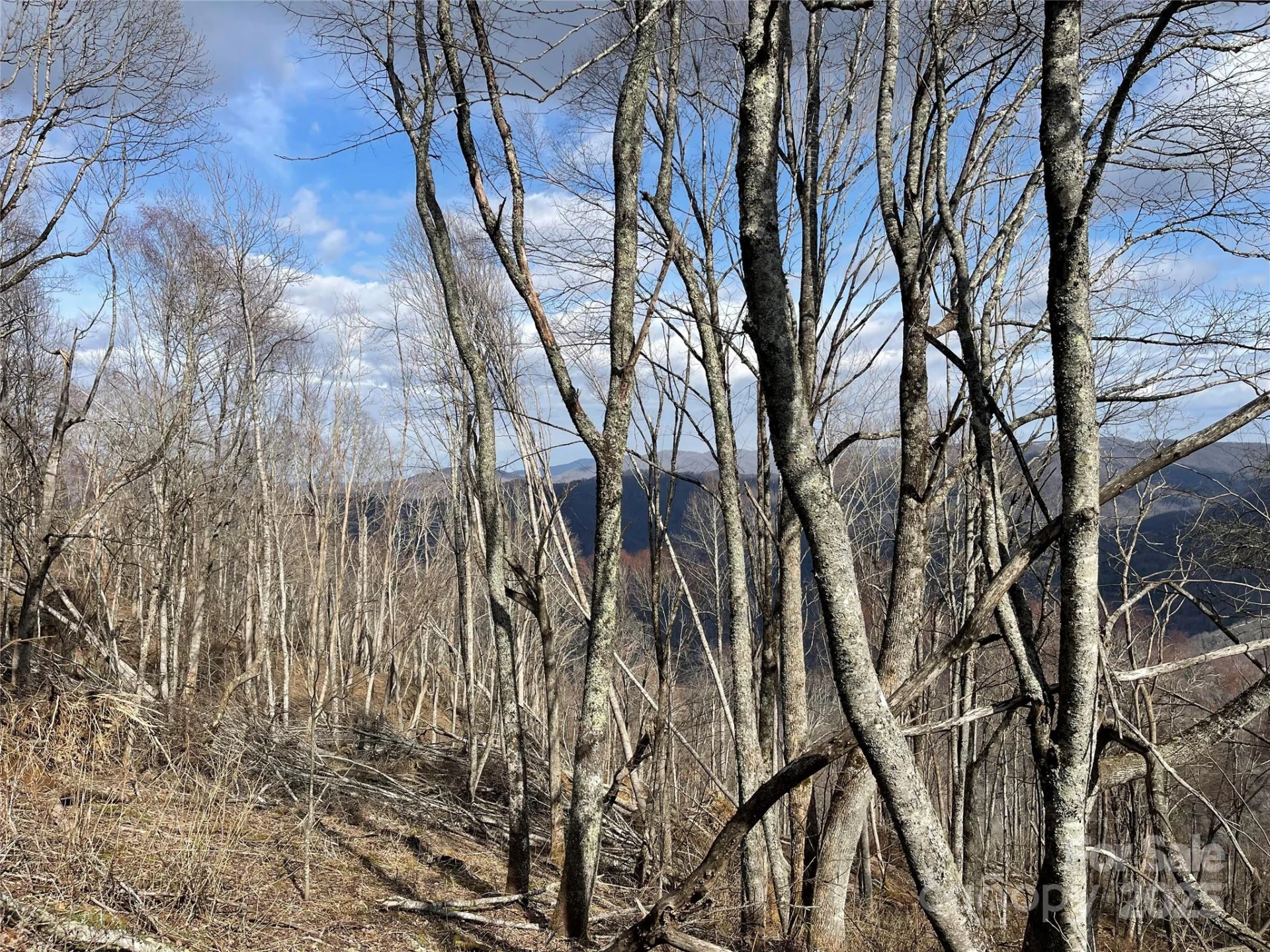 Lot #39 Ridge Top Circle - Photo 25