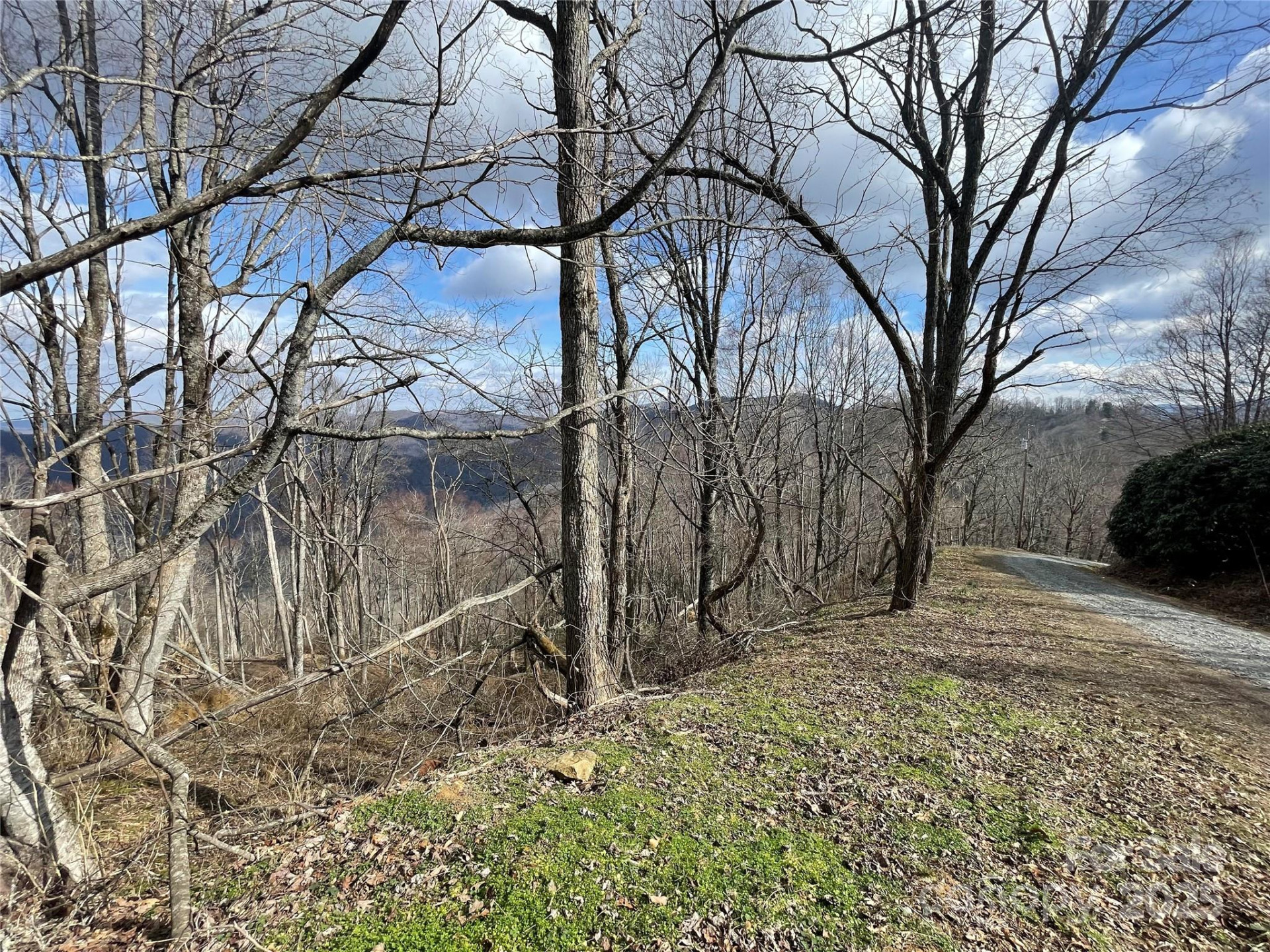 Lot #39 Ridge Top Circle - Photo 26