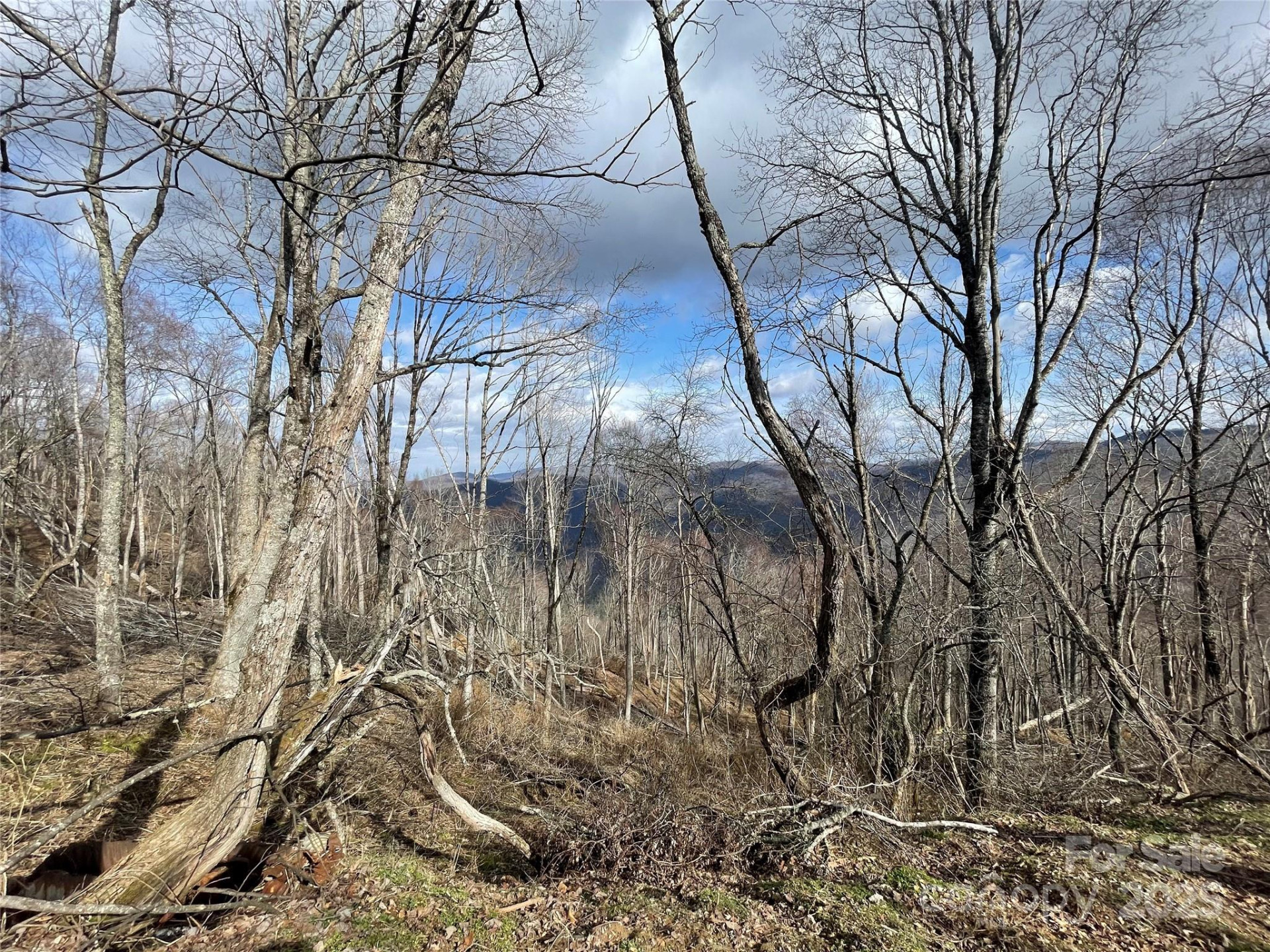 Lot #39 Ridge Top Circle - Photo 27