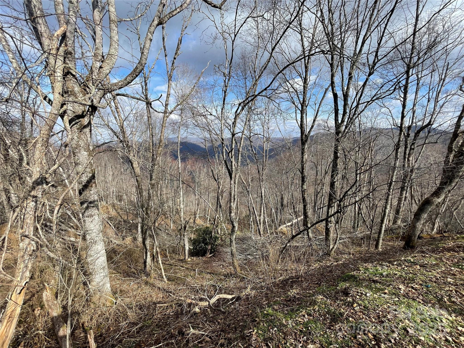 Lot #39 Ridge Top Circle - Photo 28