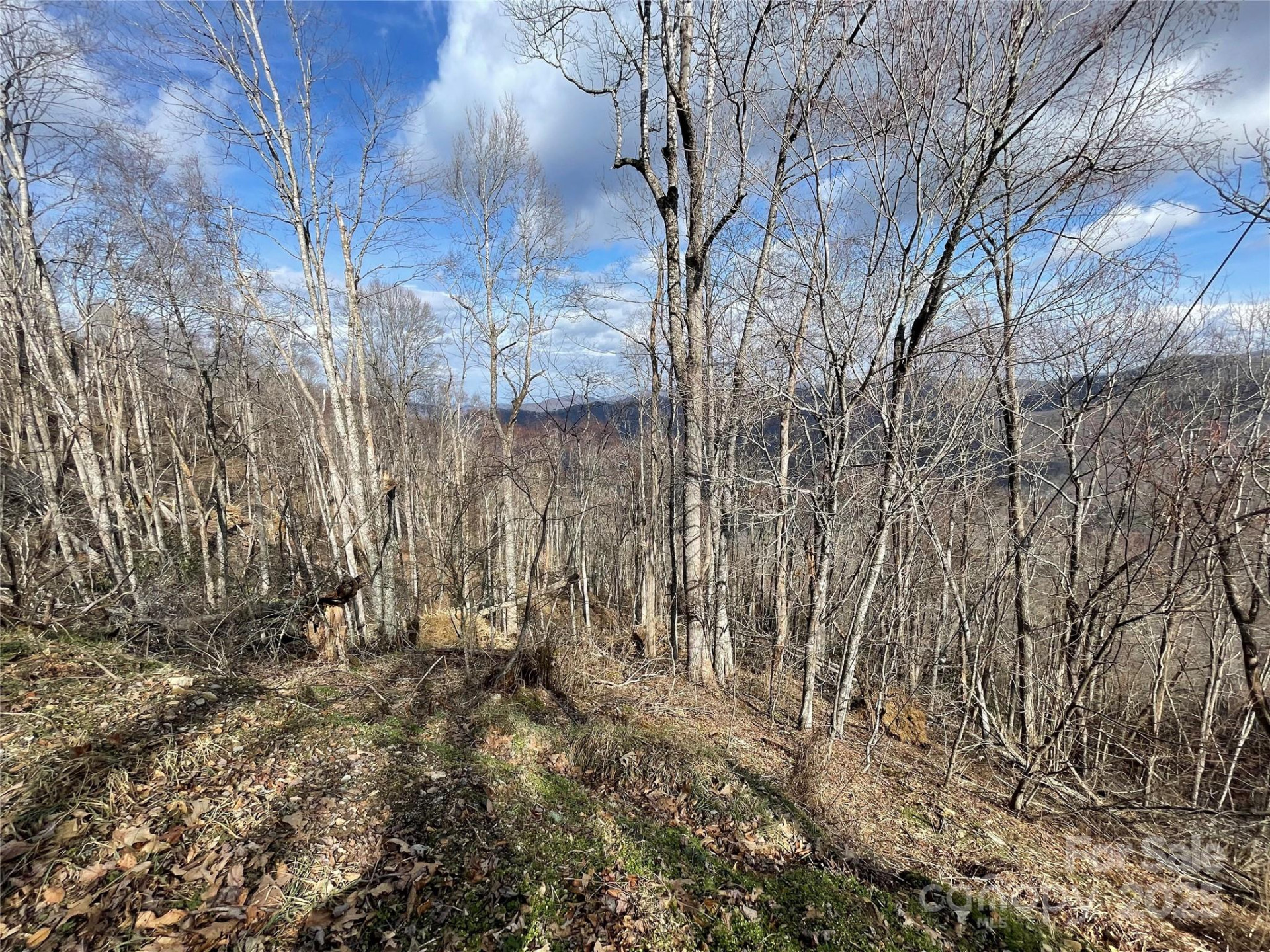 Lot #39 Ridge Top Circle - Photo 29