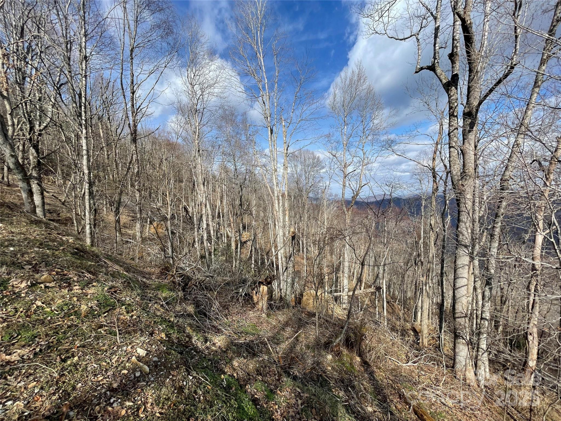 Lot #39 Ridge Top Circle - Photo 30